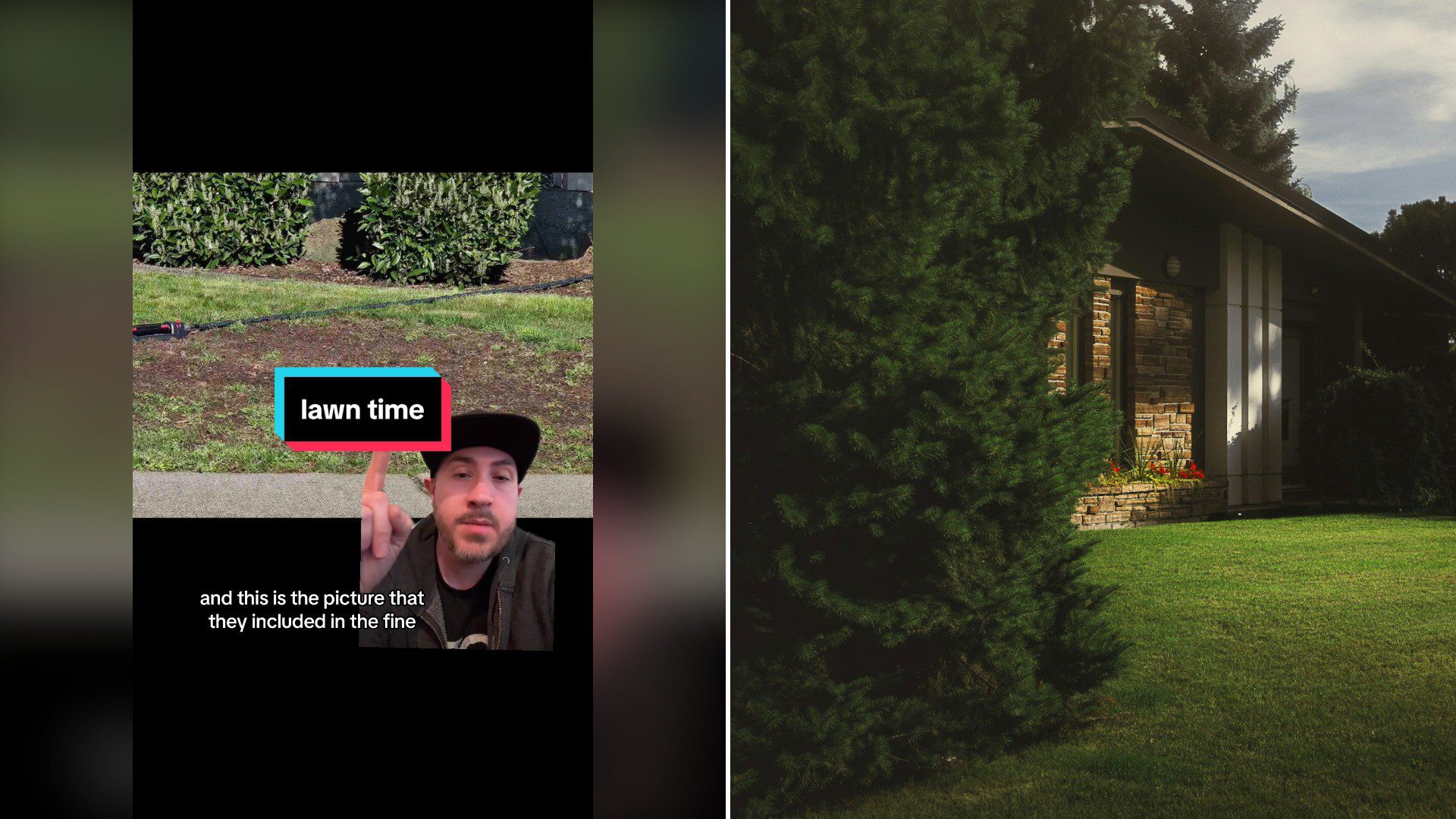 Split image with the cover of @nowspinning's TikTok video, where a man in a black cap points at the camera next to a freshly mown lawn, with a 'lawn time' label and the caption 'and this is the picture that they included in the fine', on the left and an Unsplash photo by Devon MacKay on the right showing front yard lawn with a brown wooden house behind a tree