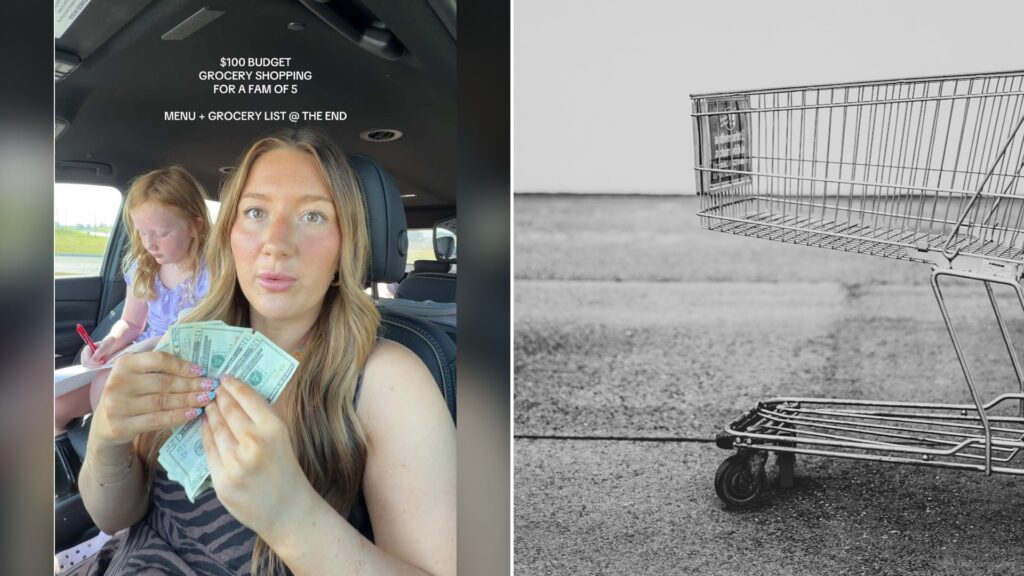 Split image with the cover of @chloeoberlechner's TikTok video, where a woman in a car holds a fan of cash while a young girl writes beside her, under the words $100 budget grocery shopping for a fam of 5, menu + grocery list @ the end, on the left and an Unsplash photo by Bruno Kelzer on the right showing a grey shopping cart