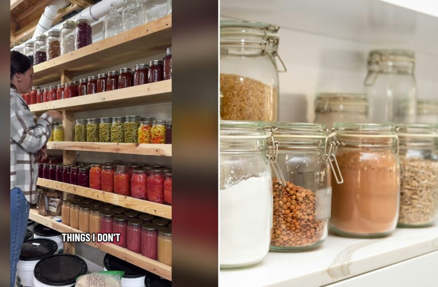Split image with the cover of @morethanfarmers's TikTok video, where a woman in a plaid shirt stands in front of floor-to-ceiling wooden shelves of home-canned jars, with the words THINGS I DON'T, on the left and an Unsplash photo by Steven Ungermann on the right showing a row of glass jars filled with different foods on shelves