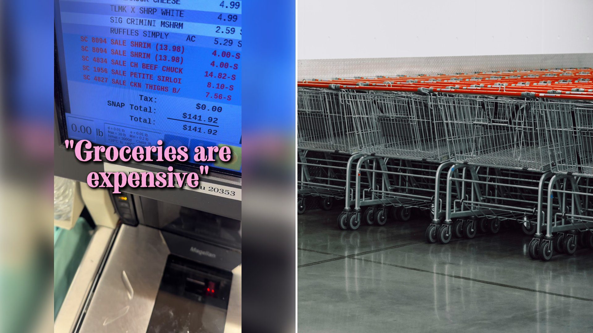 Left: cover still from a TikTok video by @mamicouponz. Right: A row of empty shopping carts inside a store (Unsplash photo by ERIC ZHU).