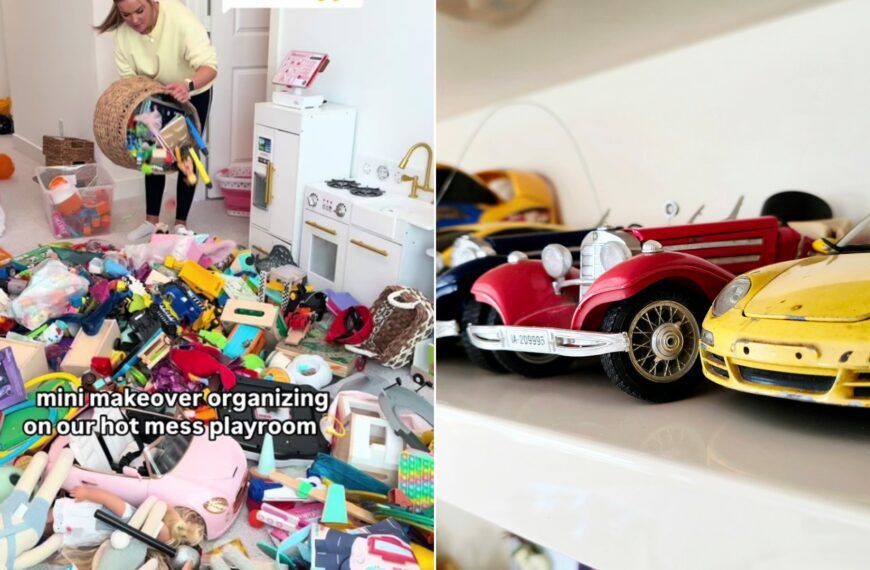 Cover of @sierra.honeycutt's TikTok video beside an Unsplash photo by Zoshua Colah of toy cars lined up on a white shelf.