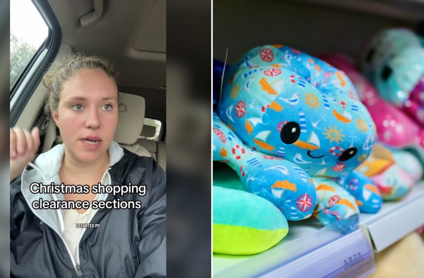 Mom Started Christmas Shopping in September and Scored a $45 Toy for $10 by Scanning Barcodes in the Walmart Clearance Aisle