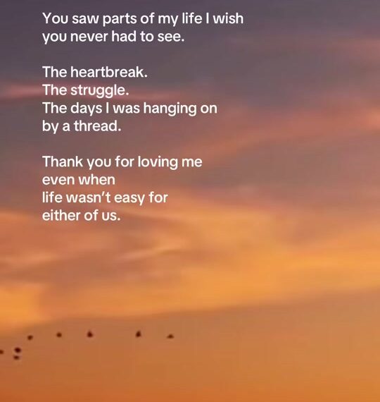 A short letter that begins To my daughter, written over a sunset sky above the sea with birds flying across it (still from the creator's TikTok video)