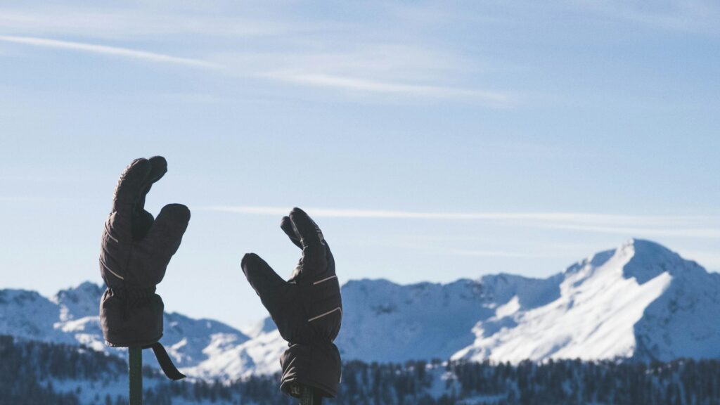 Two warm gloves hanging on a stick on a cold day.