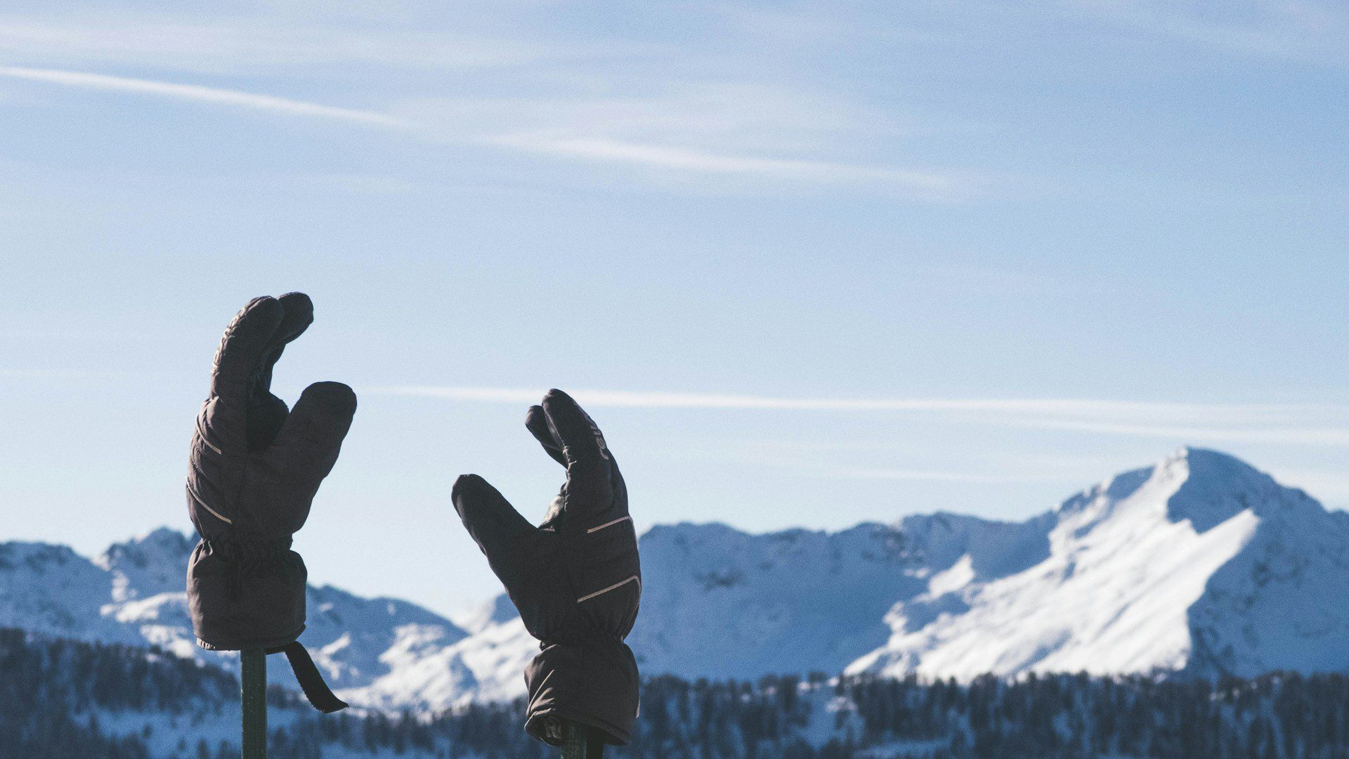 Two warm gloves hanging on a stick on a cold day.