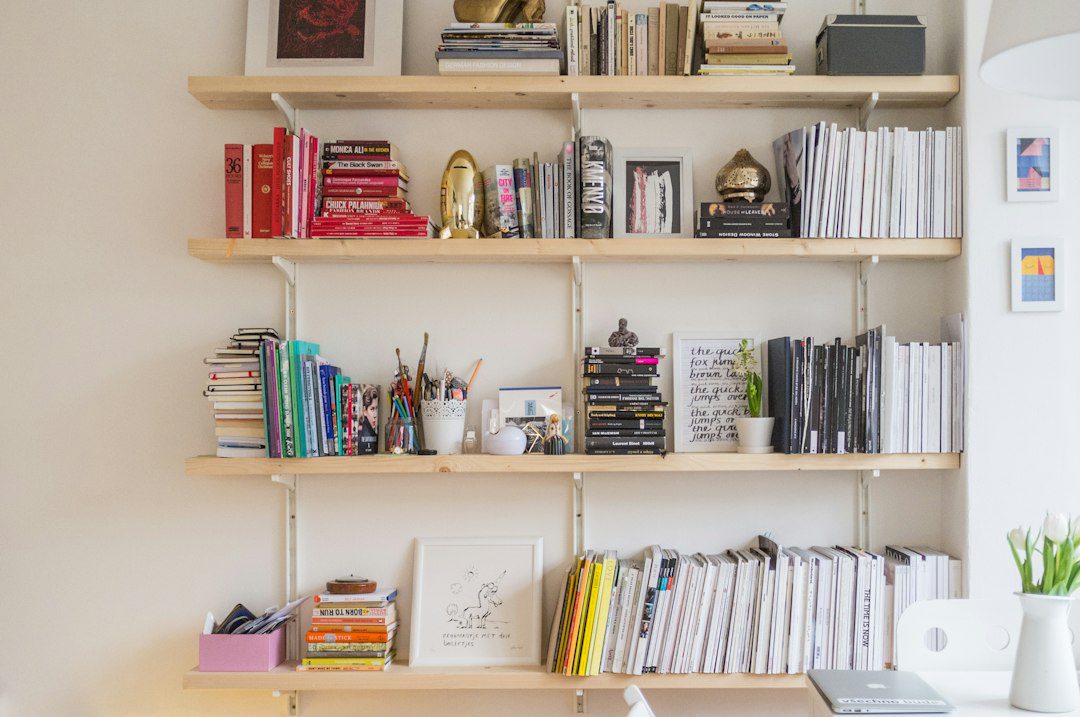 Organized pantry shelves