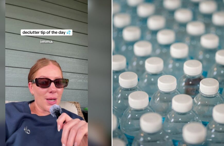 Professional Organizer Says Nobody Needs 50 Stanley Cups and Insists Every Person in the House Only Needs Two Water Bottles