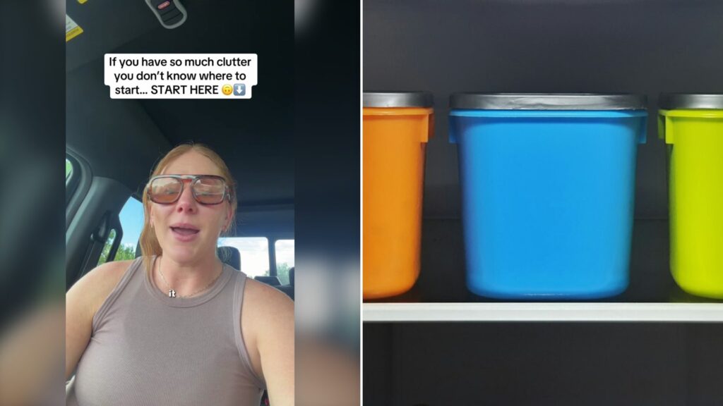 Professional Organizer Says Stop Buying Bins and Follow Her Six Blunt Decluttering Rules Starting With If It Is Not a Heck Yes It Is a No