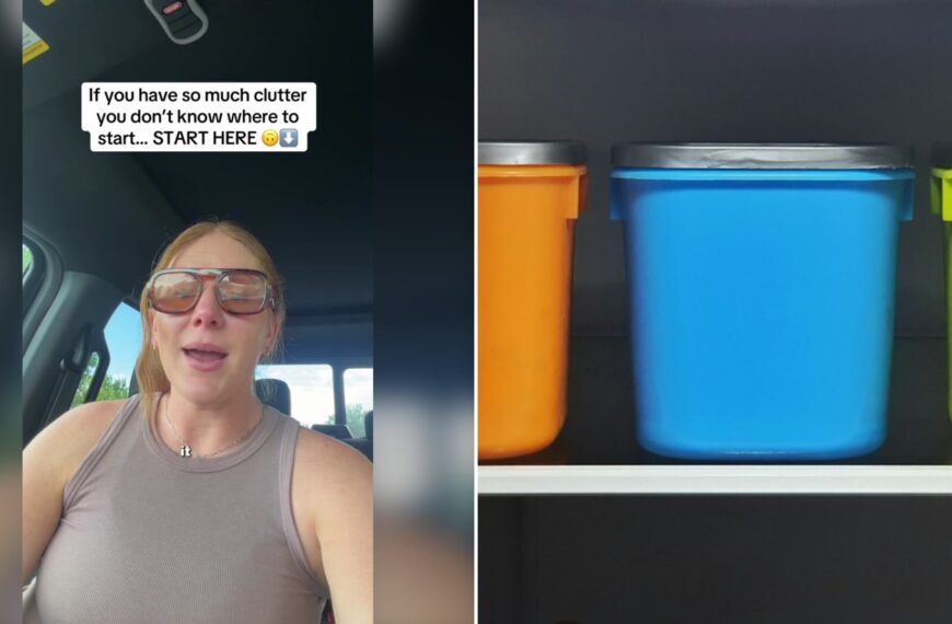 Professional Organizer Says Stop Buying Bins and Follow Her Six Blunt Decluttering Rules Starting With If It Is Not a Heck Yes It Is a No